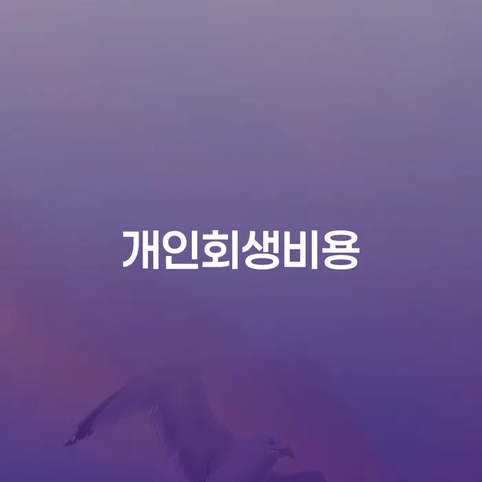 신용대출 연체 시 개인회생 제도 이렇게 됩니다.