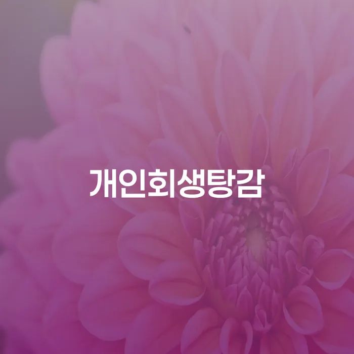 개인회생법무사비용 합리적이고 개인회생으로 해결방법 다른방법이