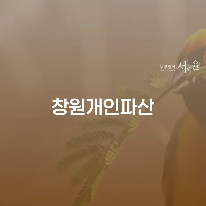 울산 회생비용 분납가능하고 개인회생,개인파산으로 법무법인추천