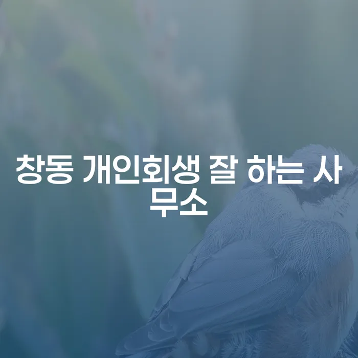 창동 개인회생 잘 하는 사무소