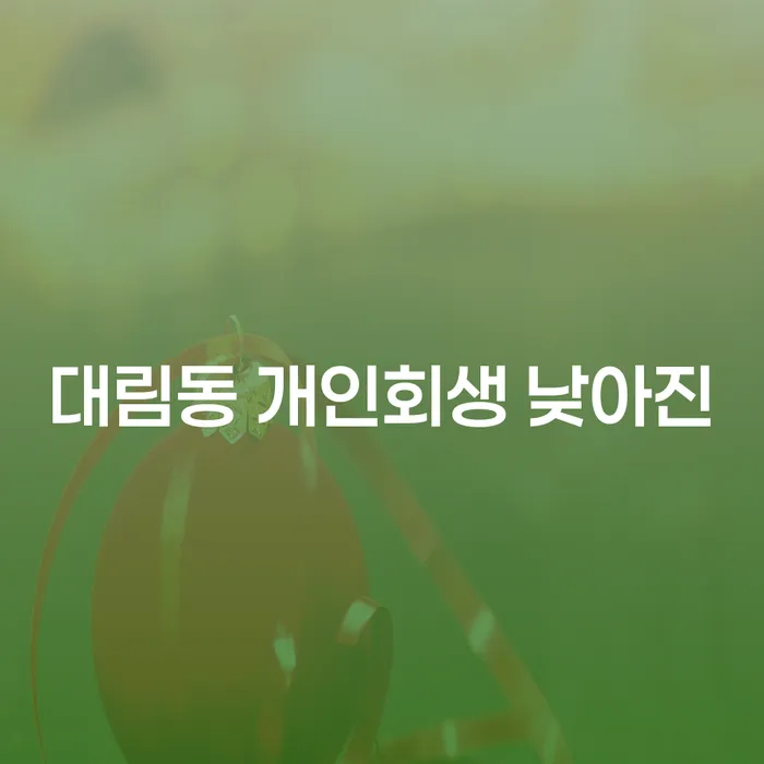 대림동 개인회생 낮아진