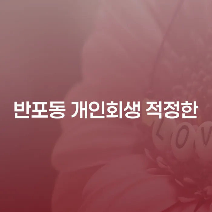 반포동 개인회생 적정한