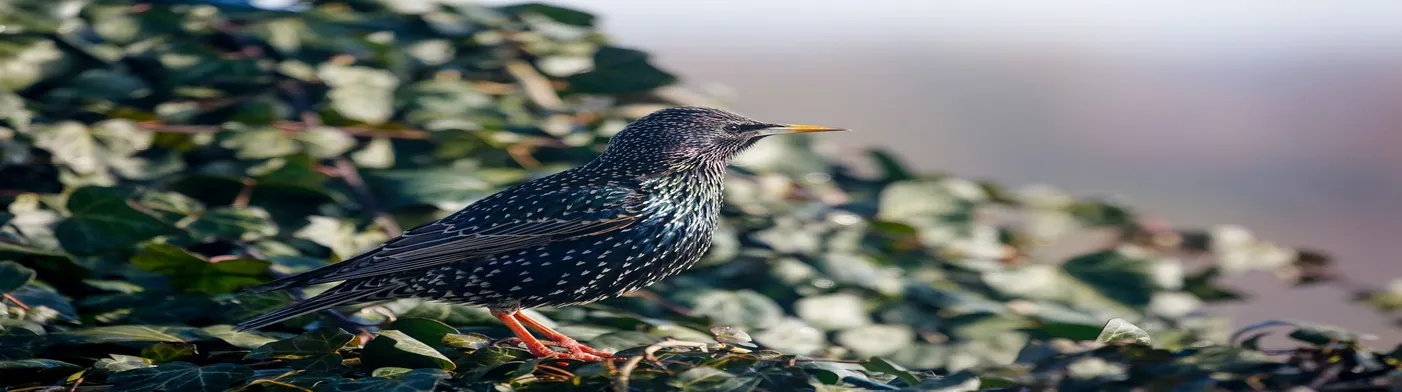 법무법인 서앤율