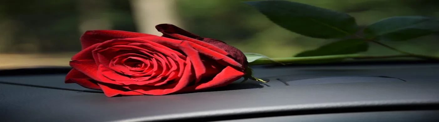 법무법인 서앤율