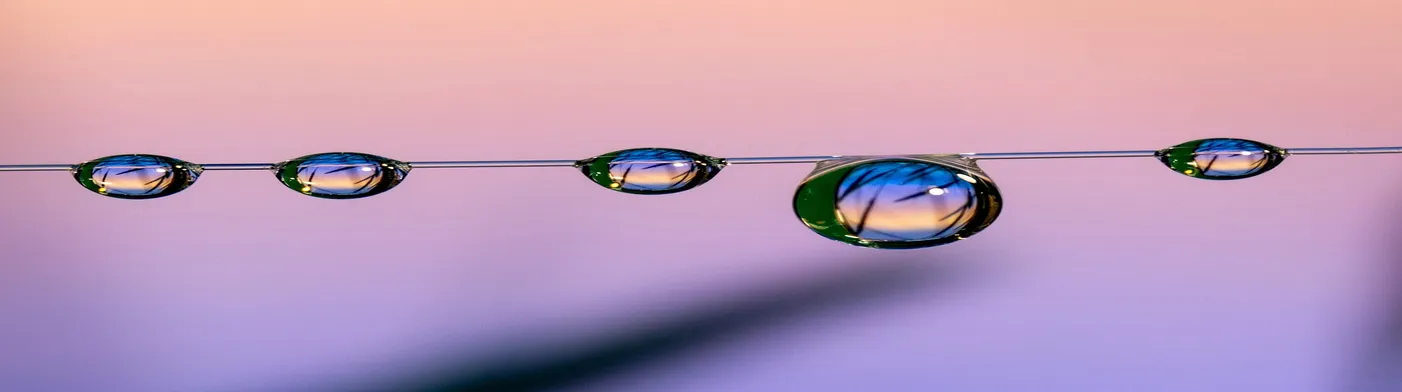 법무법인 서앤율