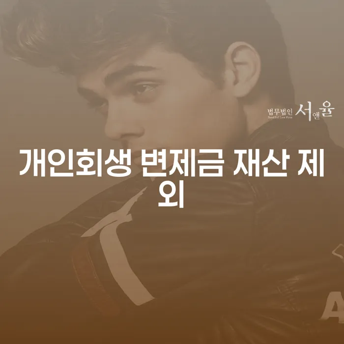 개인회생 변제금 재산 제외가 가능할까요?