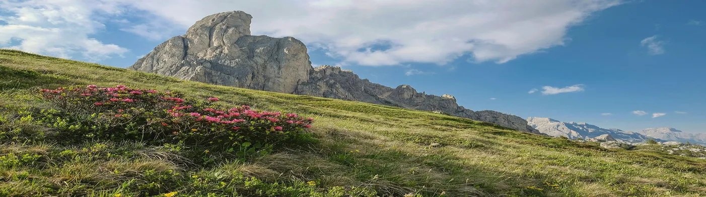 법무법인 서앤율