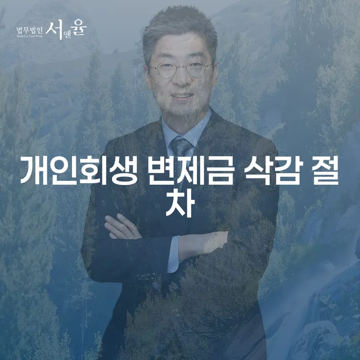 개인회생 변제금 삭감 절차: 채무자의 희망 찾기