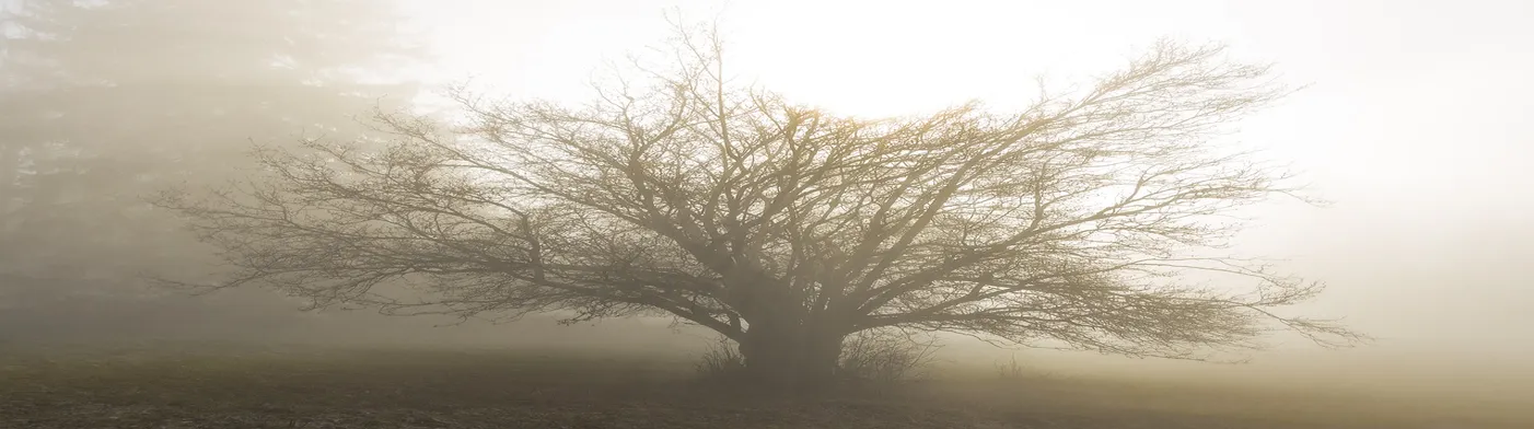 법무법인 서앤율