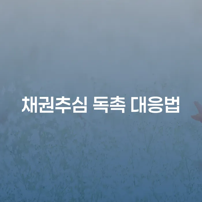 채권추심 독촉에 어떻게 대응해야 할까요?
