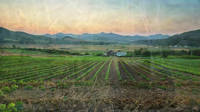 신뢰할 수 있는 대납 업체