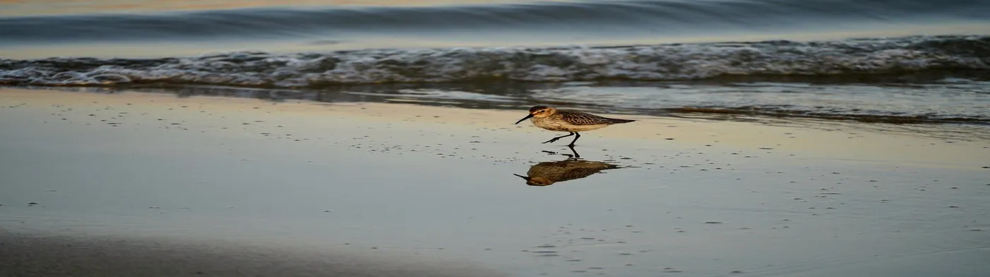 법무법인 서앤율