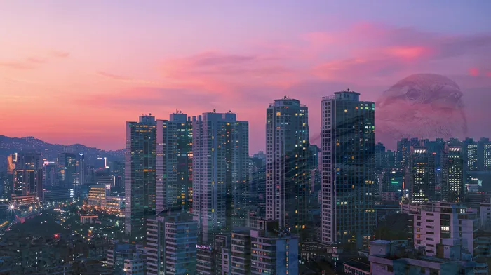 개인회생 변제금 납입 연기