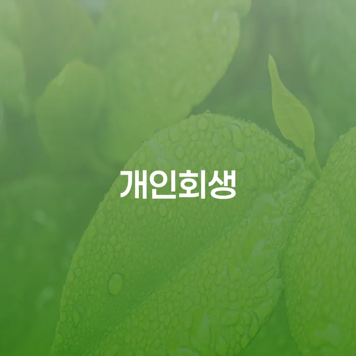 성산1동 개인회생의 모든 것