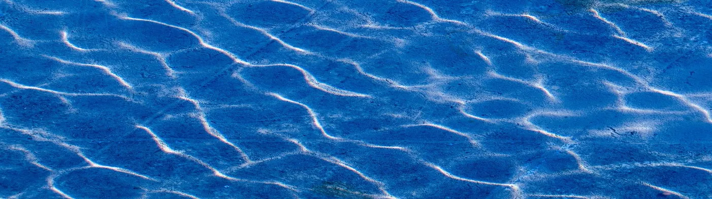 법무법인 서앤율