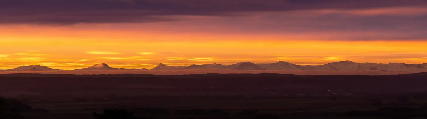법무법인 서앤율