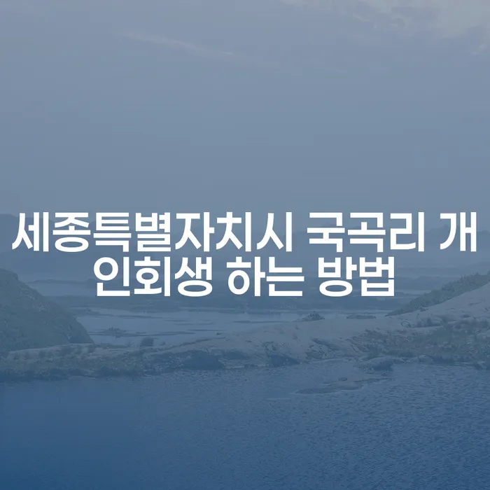 세종특별자치시 국곡리 개인회생, 어떻게 시작해야 할까요?