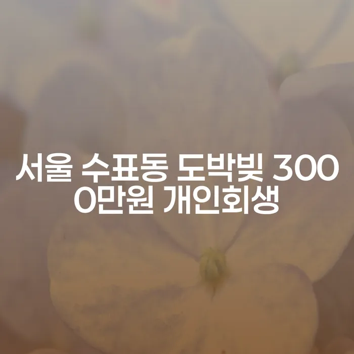 서울 수표동 도박빚 3000만원, 개인회생이 해답일까요?