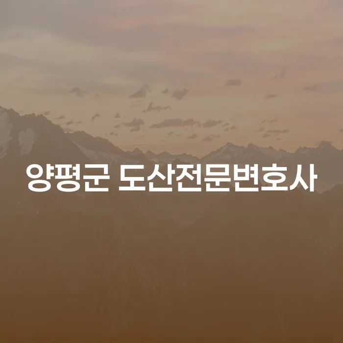 양평군 도산전문변호사는 어떻게 당신을 도와줄 수 있을까요?